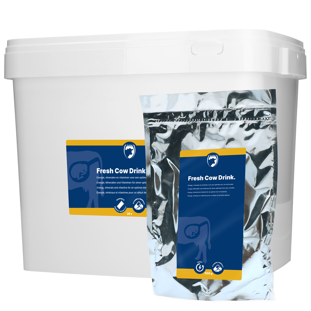 Excellent Afkalftrunk 500 g – Energiereicher Vitamindrink für Kühe