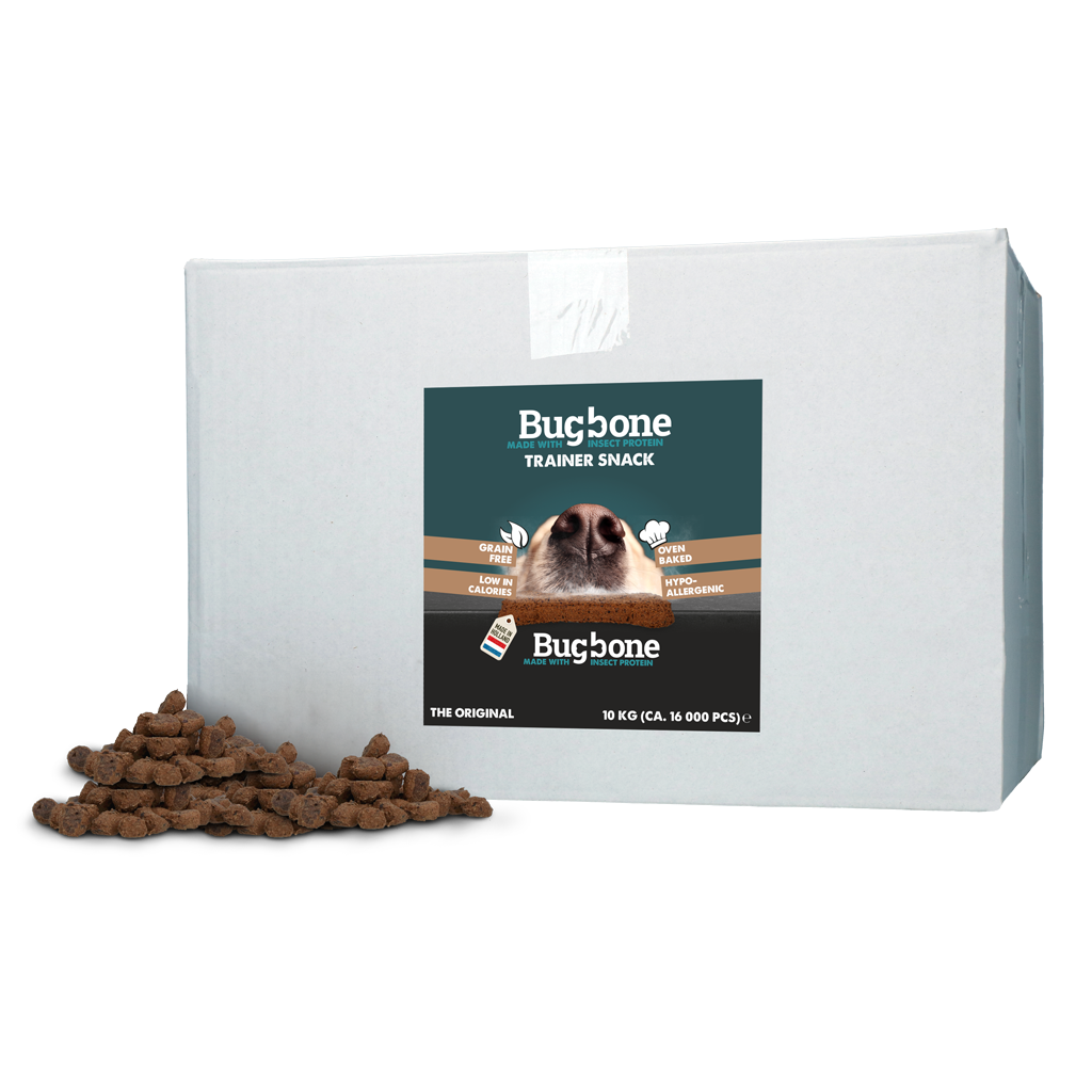 Bugbone Bulkverpackung Trainer Snack 10 kg – Reich An Hochwertigem Insektenprotein