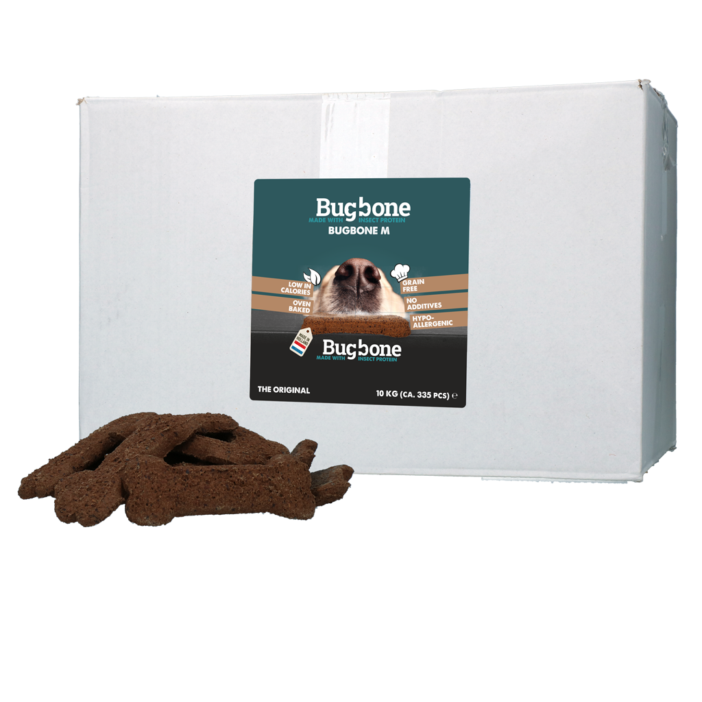 Bugbone Bulkverpackung Medium 10 kg – Hochwertiger Insektenprotein Snack für Hunde