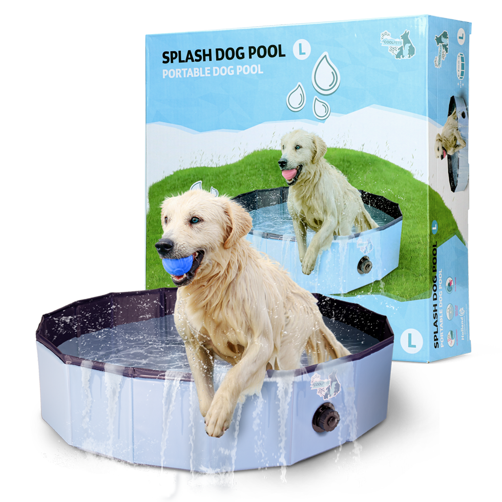 CoolPets Splash Hundepool ø 120 x 30 cm – UV-beständig und Rutschfest