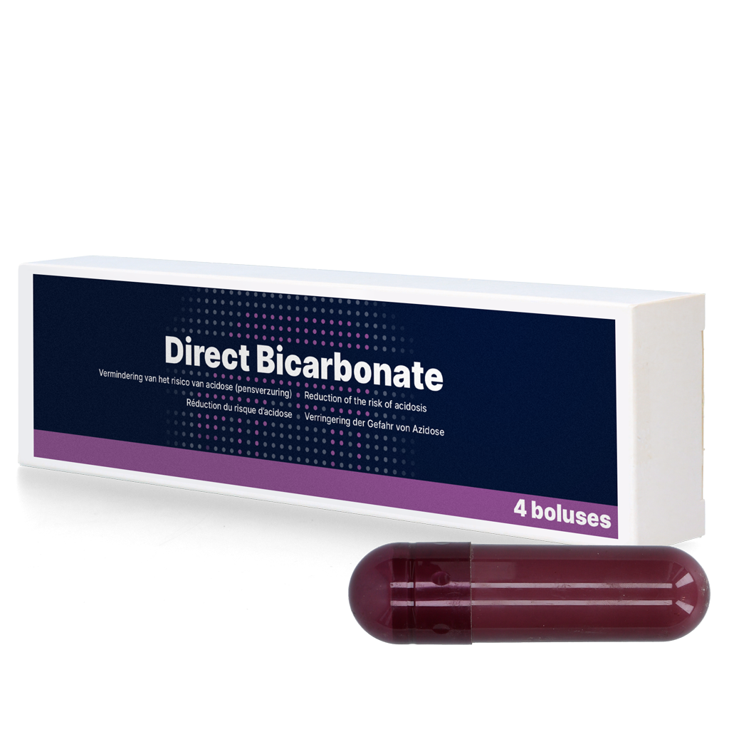 Direct Bicarbonate 4 x 116 g – Reduziert Risiko von Azidose