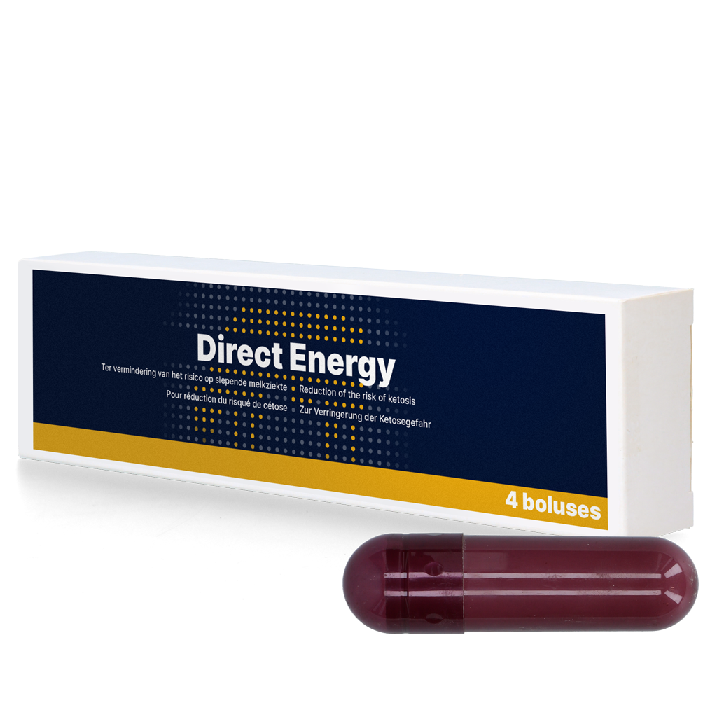 Direct Energy Bolus 4 x 67 g – Schnelle Unterstützung Bei Negativem Energiehaushalt