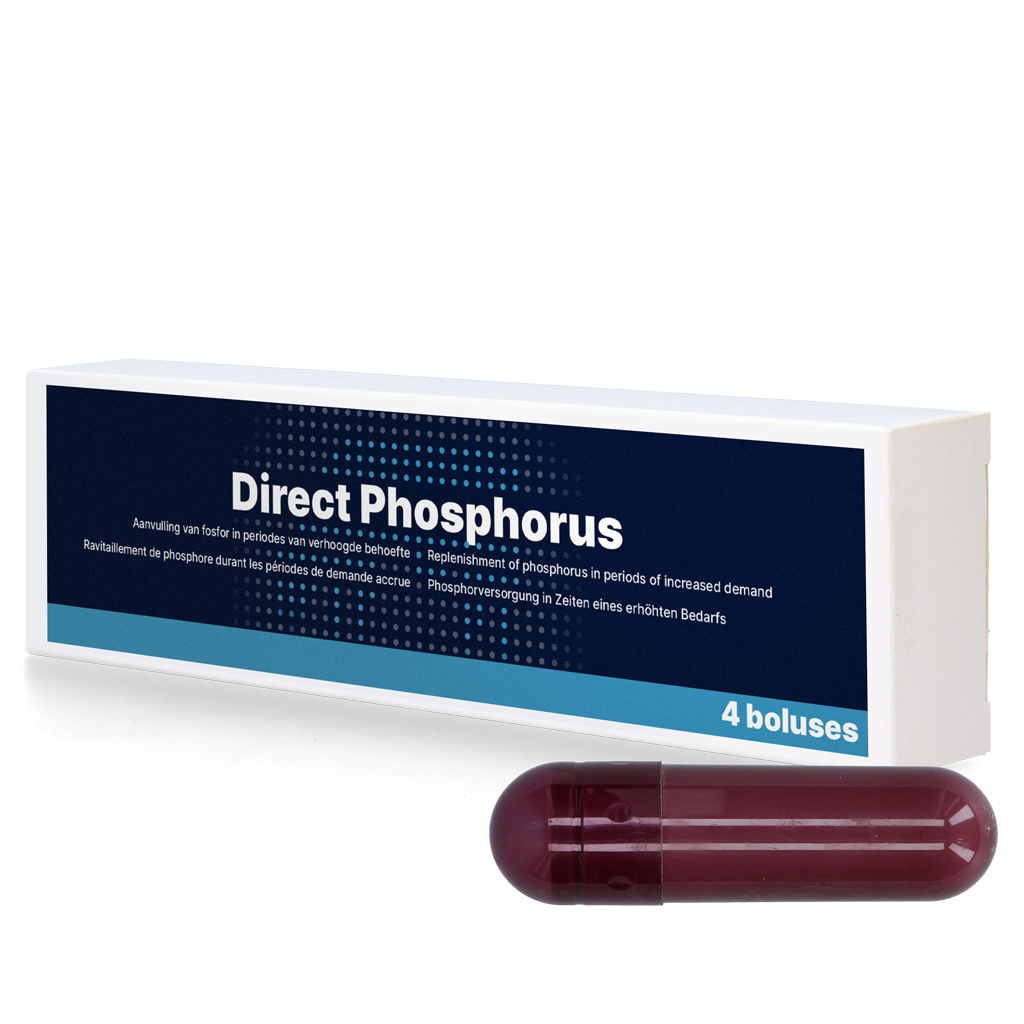 Direct Phosphor 4 x 123 g – Effektive Unterstützung Für Kühe Nach Dem Abkalben