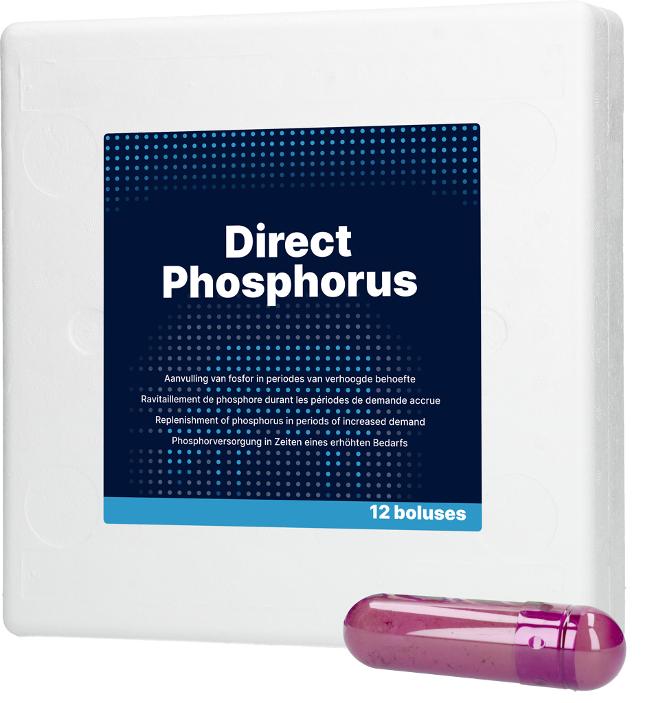 Direct Phosphor 12 x 123 g – Effektive Phosphorversorgung Für Milchkühe Nach Dem Abkalben