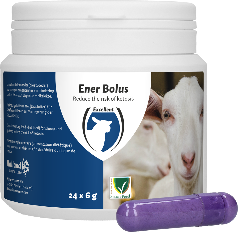 Excellent Ener Bolus Schaf & Ziege – Risiko Minimierung Für Ketose