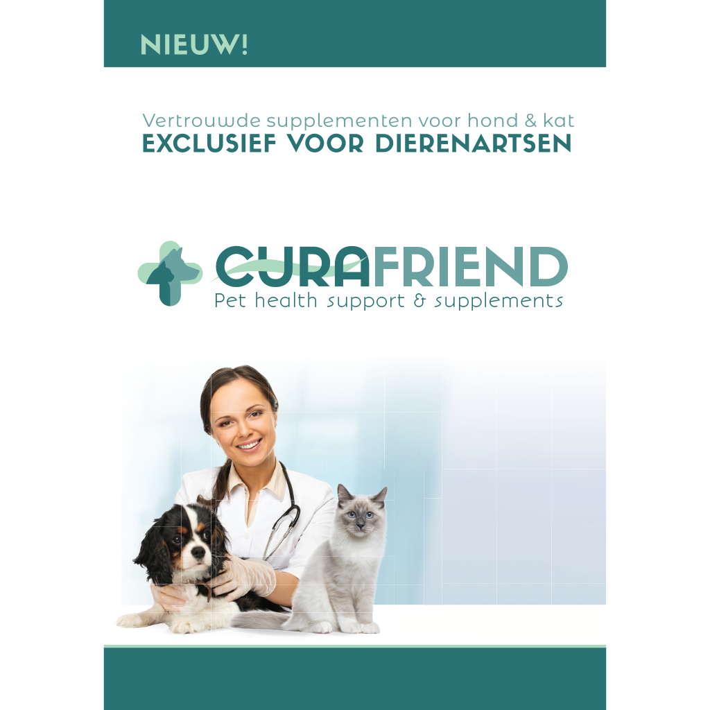 Curafriend Broschüre – Umfassende Informationen und Unterstützung