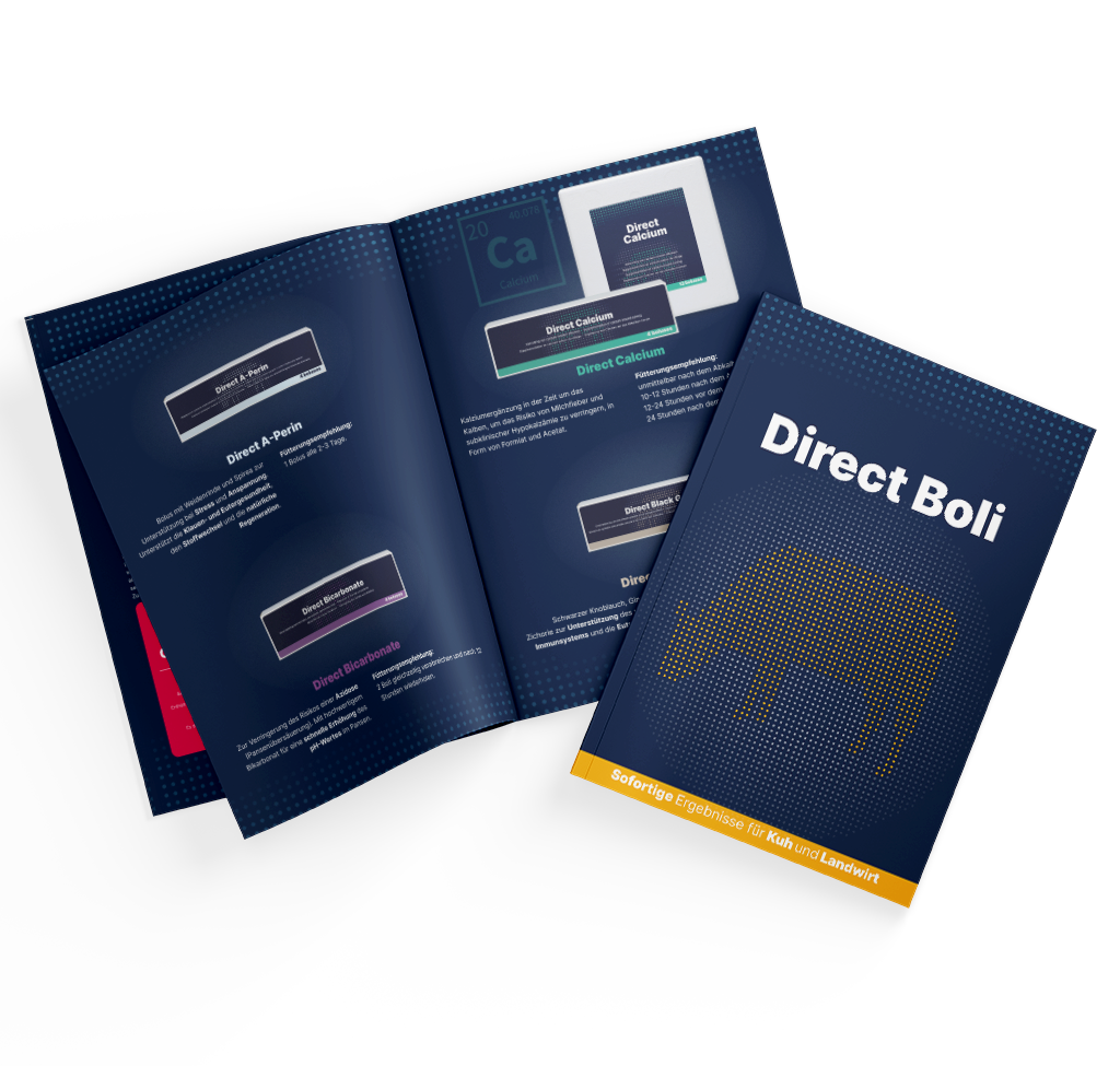 Broschüre Direct Boli DE – Informative Gestaltung für Ihre Präsentationen