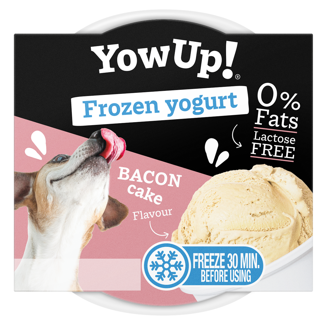 YowUp! Frozen Yoghurt Bacon Kuchen – Gesund Und Laktosefrei Für Hunde Und Katzen