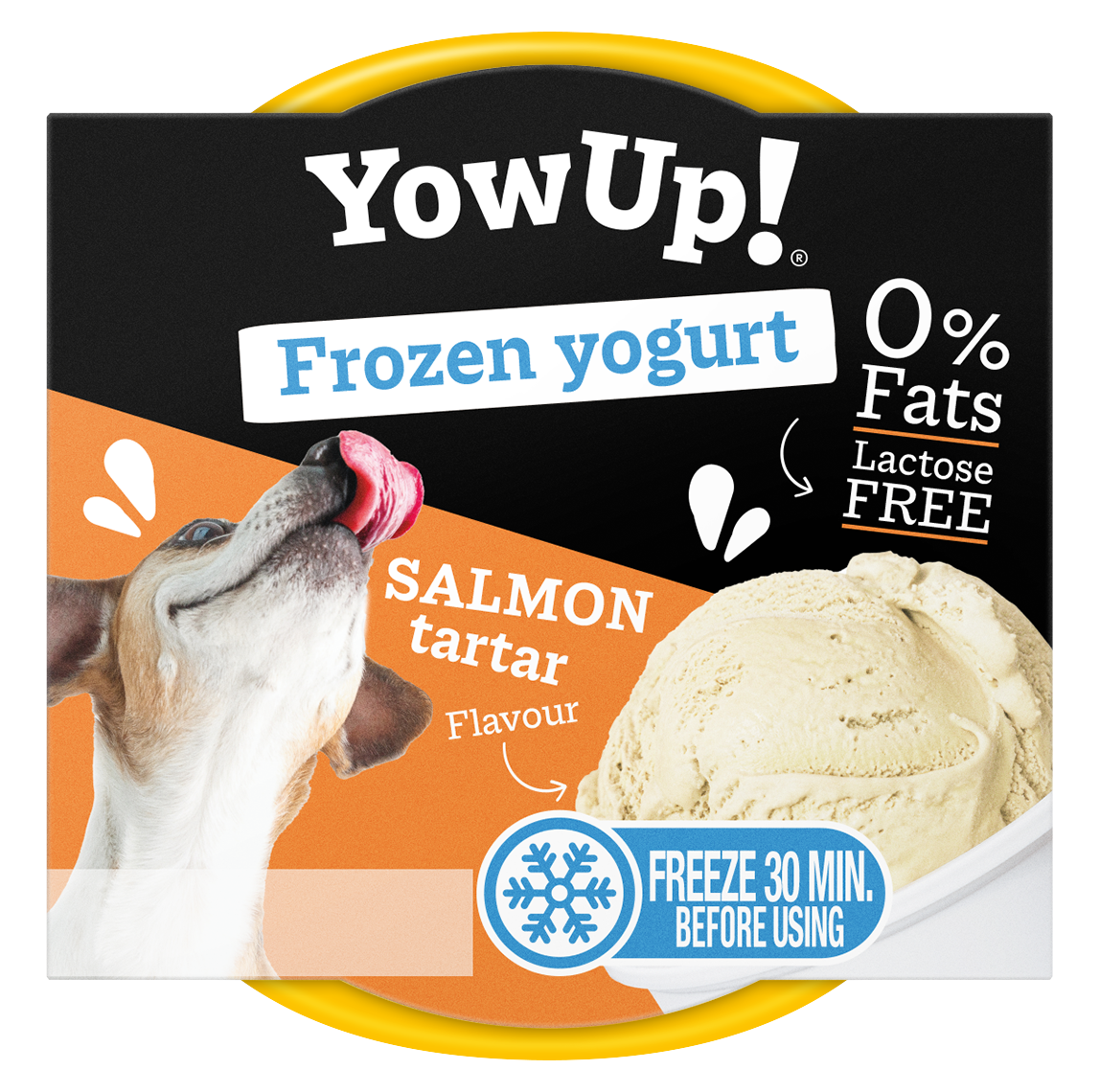 YowUp! Frozen Yoghurt Lachs Tartar – Laktosefreier Genuss Für Hunde Und Katzen