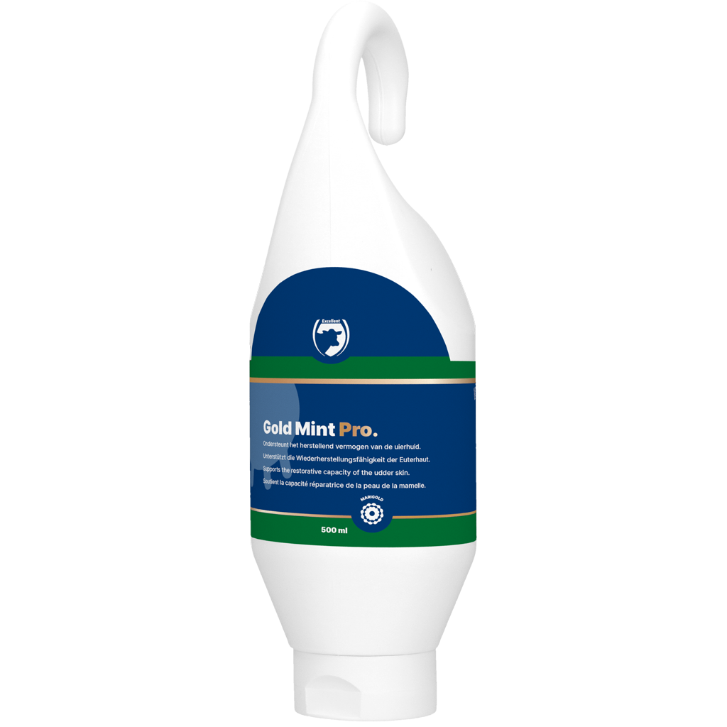 Gold Mint Pro Steh- und Hängeflasche 500 ml – Optimale Eutergesundheit für Milchkühe