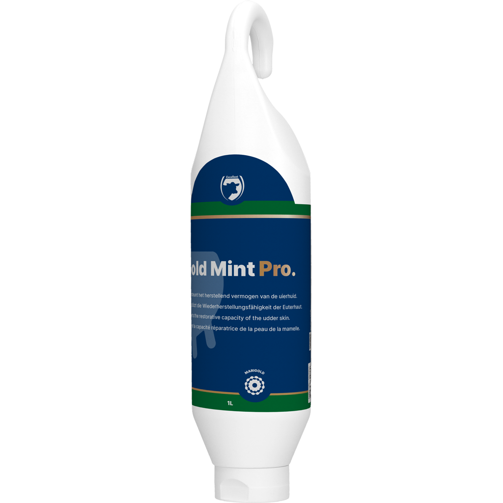 Gold Mint Pro Steh- und Hängeflasche 1 l – Optimale Eutergesundheit für Milchkühe