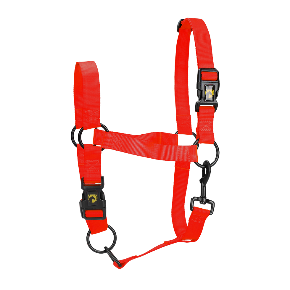 Excellent Essential Halfter Rot S – Höchster Komfort für Pferde