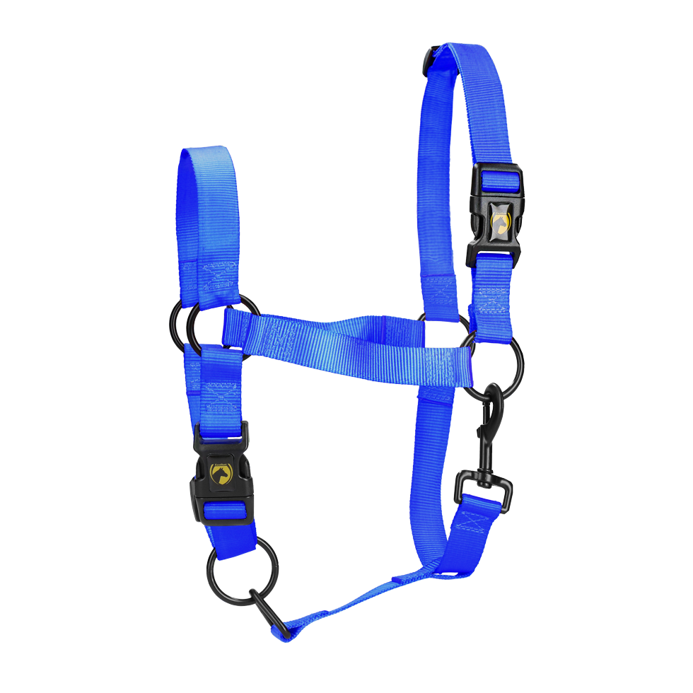 Excellent Essential Halfter Blau M – Hochwertiges Nylon für Optimalen Komfort