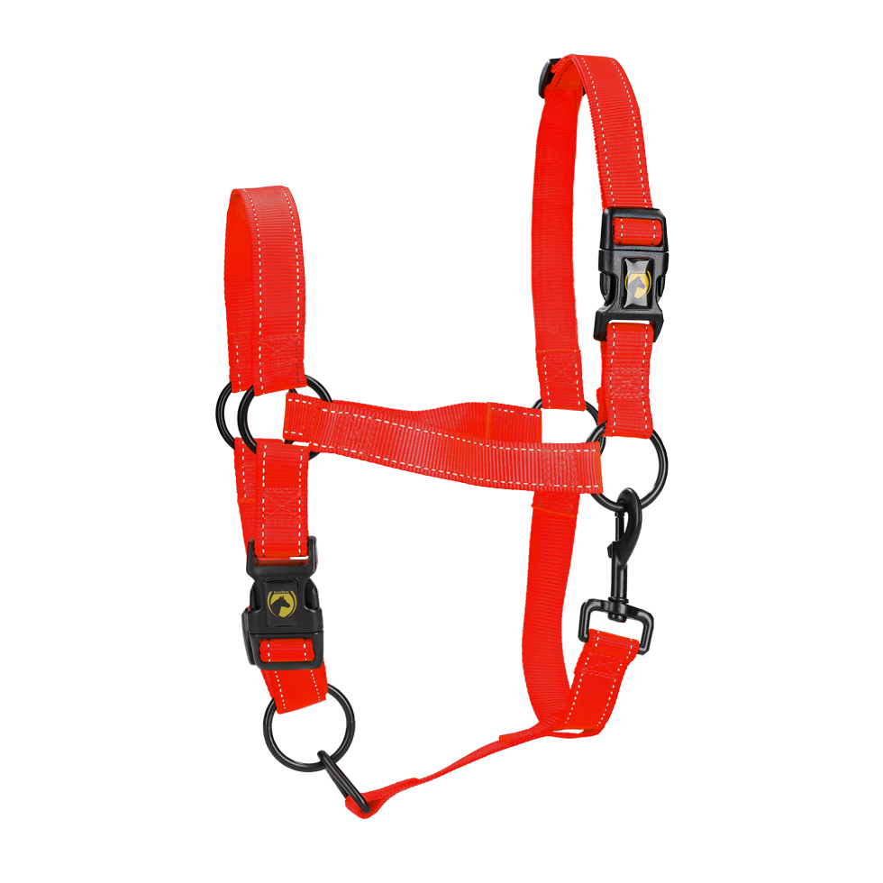 Excellent Premium Halfter Rot L – Sicherheit Und Komfort Mit Reflektoren