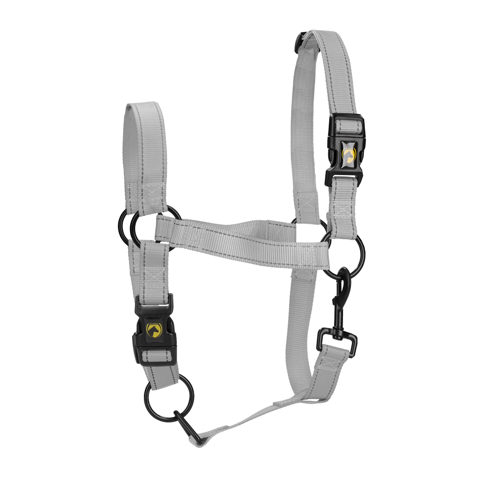 Excellent Premium Halfter Grau XL – Sicherheit Und Komfort Mit Reflektierenden Elementen