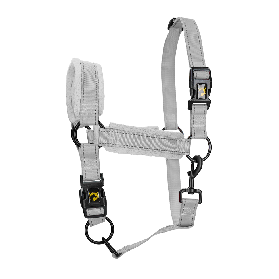 Excellent Superior Halfter Grau XS – Hochwertiges Nylon Für Optimalen Komfort