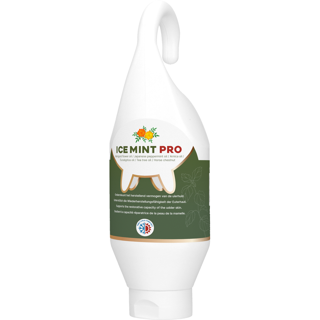 Ice Mint Pro Gel Steh- u. Hängeflasche 500 ml – Optimale Eutergesundheit für Milchkühe