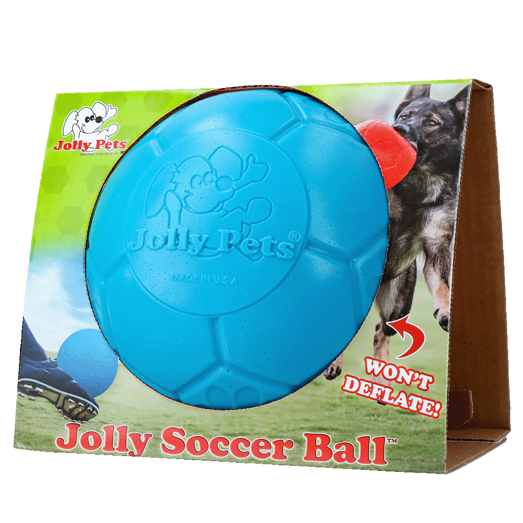 Jolly Hunde Fußball Hellblau L – Bissfestes Jollyflex Material mit Schwimmfähigkeit