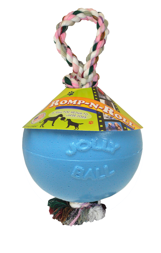 Jolly Romp-n-Roll Heidelbeere M – Zähne Putzendes Hundespielzeug