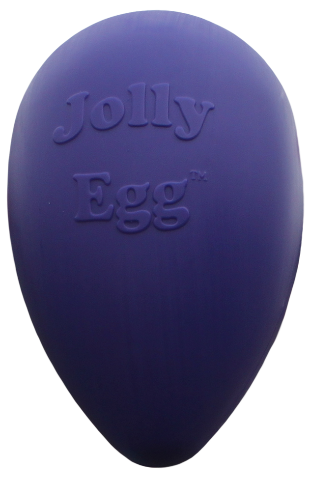 Jolly Egg Violett L – Praktisch Unzerstörbares Spielzeug für Hunde