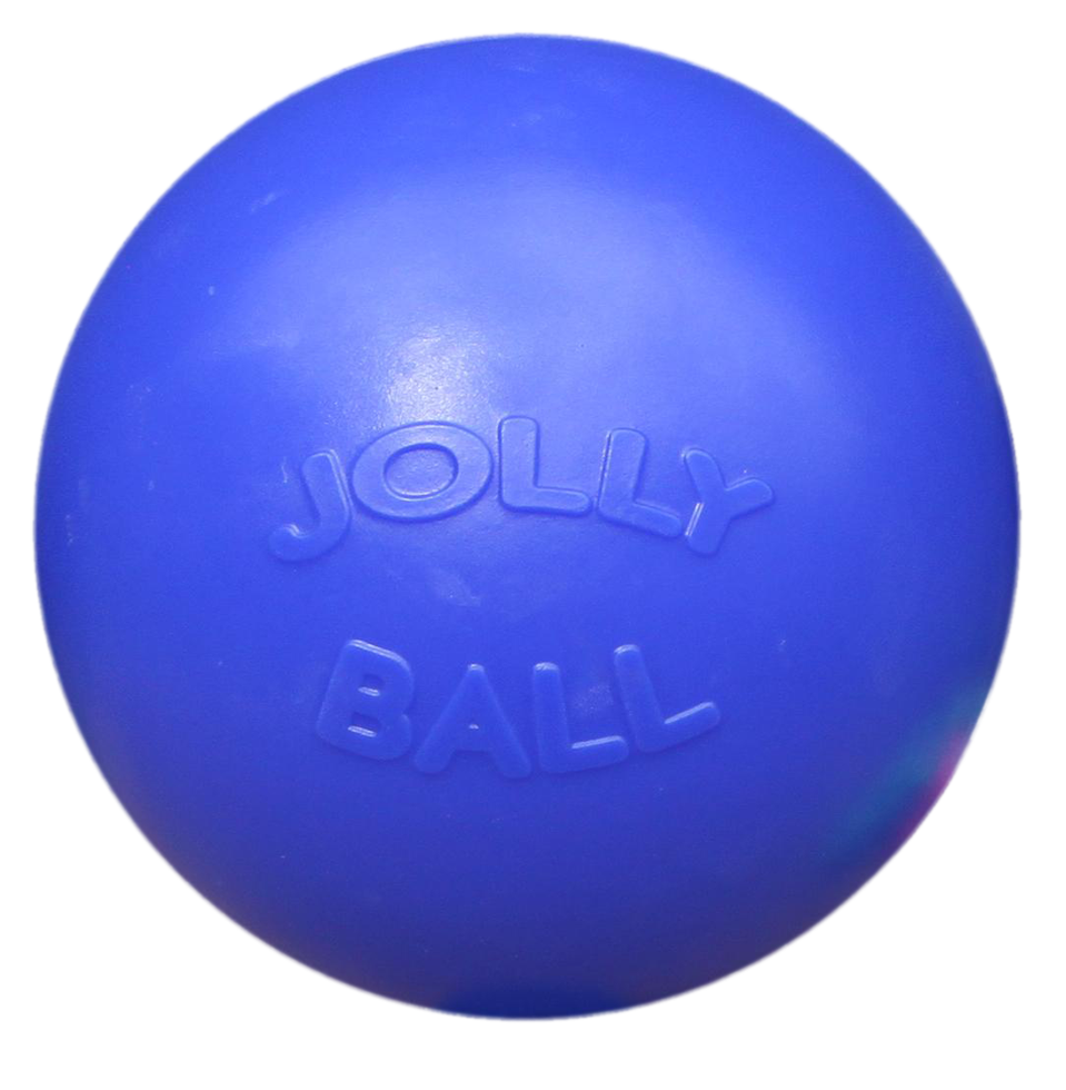 Jolly Push-n-Play Blau XL – Unverwüstliches Hundespielzeug aus Beissbeständigem Polyethylen