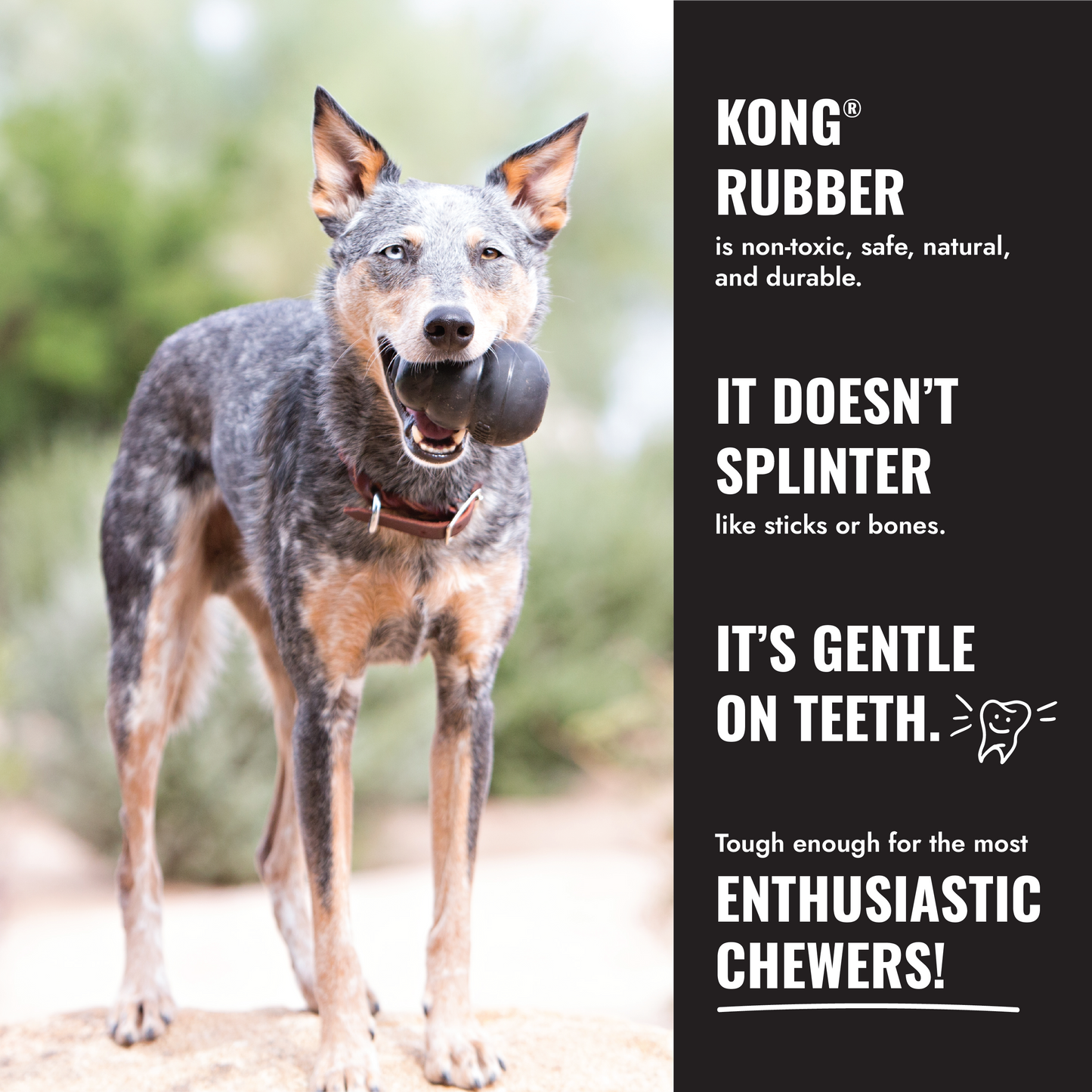 KONG Extreme M