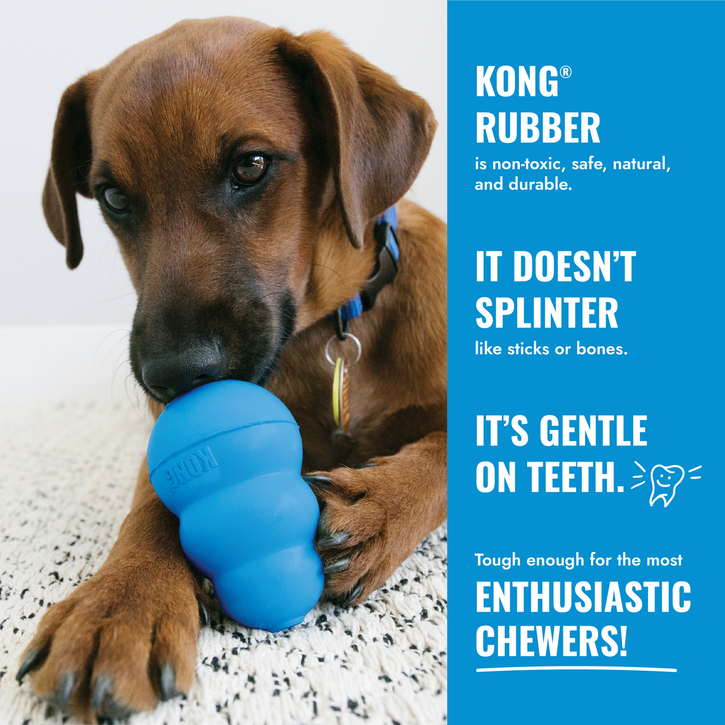 KONG Puppy S Blau