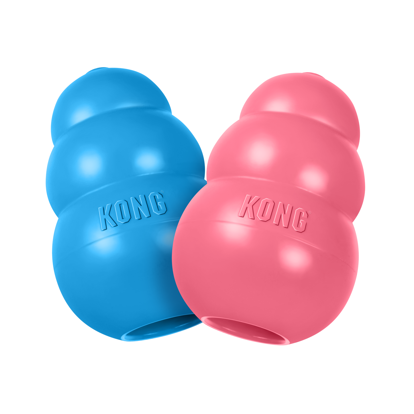 KONG Puppy S Blau
