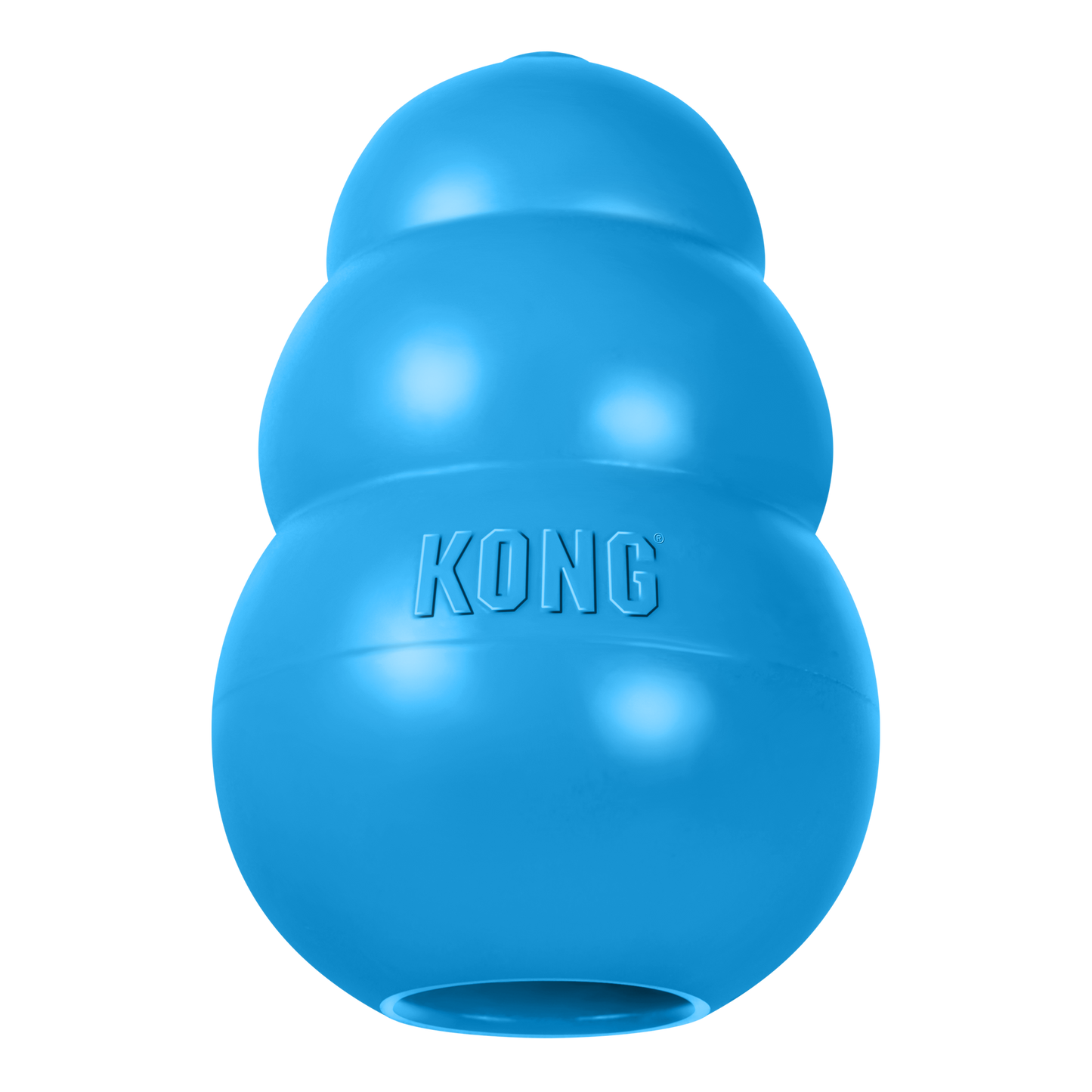 KONG Puppy S Blau