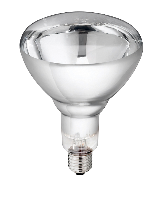 Hartglas Lampe 250 W – Langlebig Und Ideal Für Jungtiere