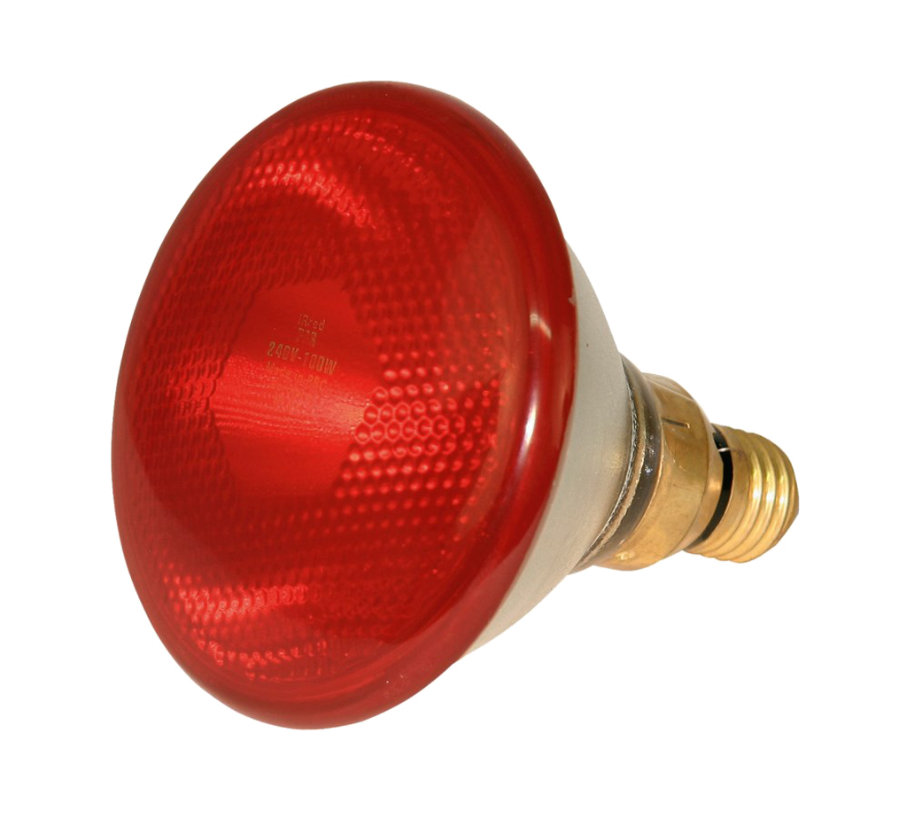 Sparlampe 100 W – Spart Bis Zu 30 Prozent Energiekosten