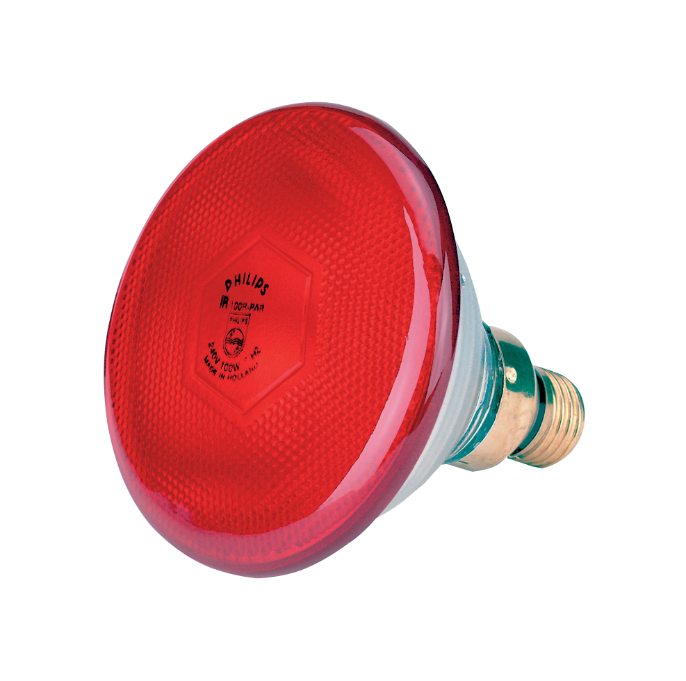 Sparlampe 100 W Rot – Spart Bis Zu 30 Prozent Energiekosten
