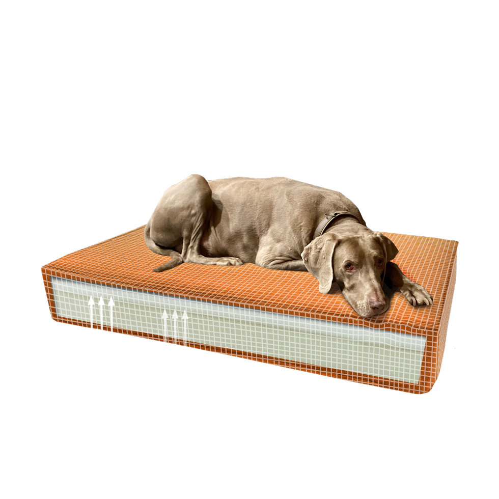 Madison Orthopädisches Kissen Velvet Orange S – Ideal Für Hunde Mit Gelenkproblemen
