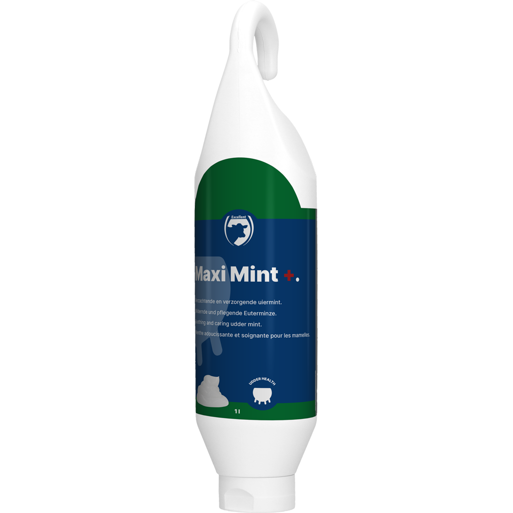 Excellent Maxi Mint+ Steh-/Hängeflasche 1 l – Optimale Eutergesundheit für Milchkühe