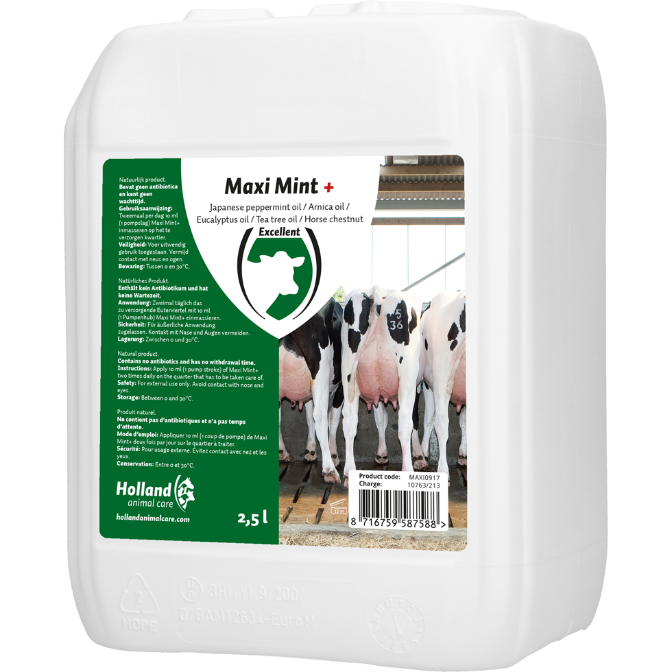 Excellent Maxi Mint+ Bulkverpackung 2,5 l – Innovative Pflege für Eutergesundheit
