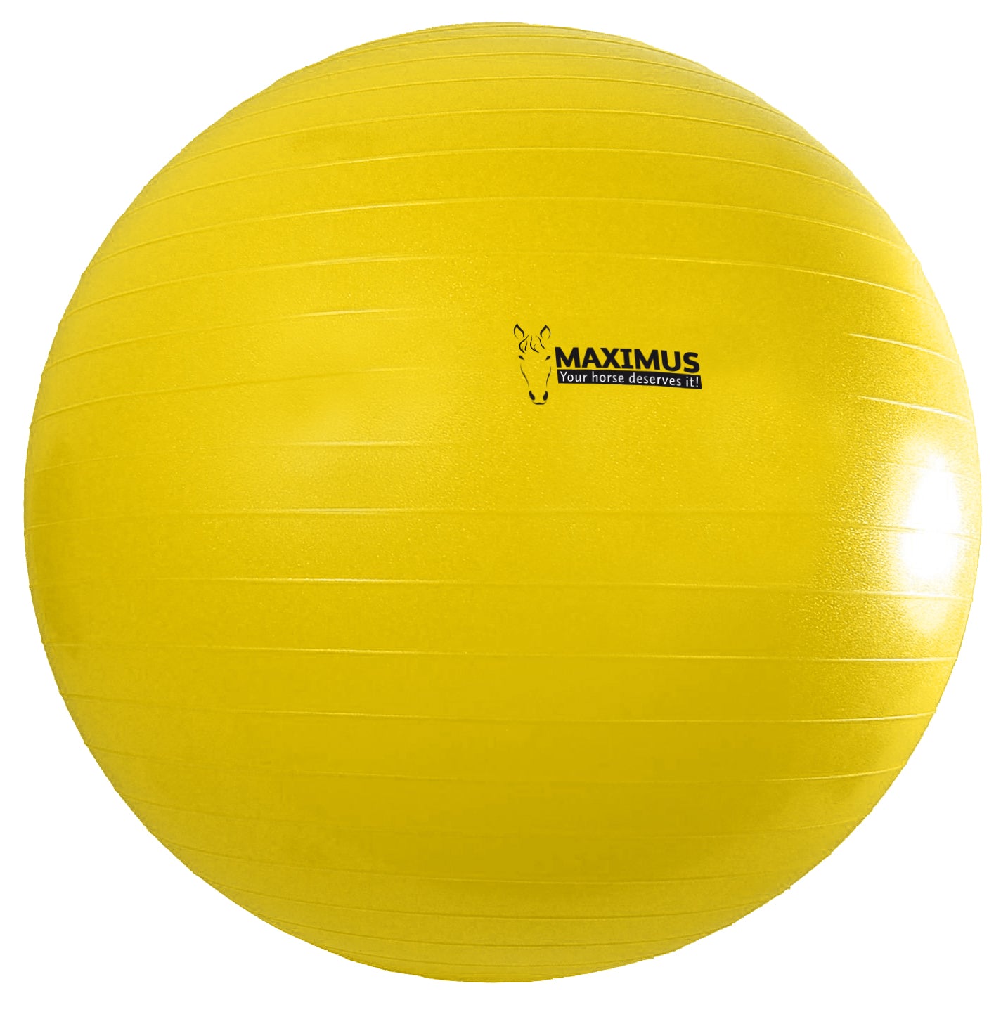 Maximus Power Play Ball 100 cm – Ultimativer Spielball Für Pferde