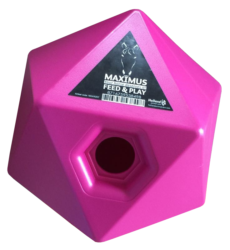 Maximus Feed & Play Rosa – Spielend Füttern und Belohnen