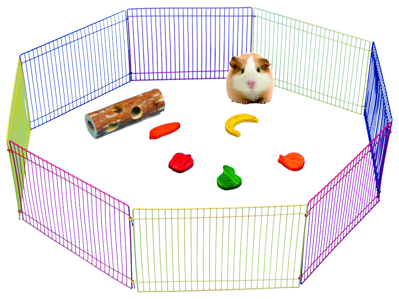 Pawise Kleintier Spielplatz – Ideales Spielfeld Für Innen Und Außen