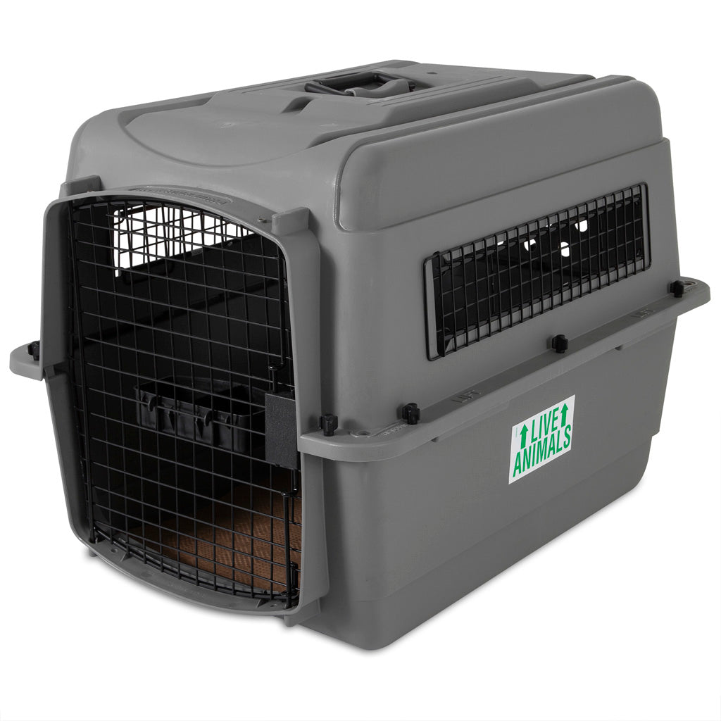 Petmate Sky Kennel 11 - 14 kg – Sicheres Reisen Für Ihr Haustier
