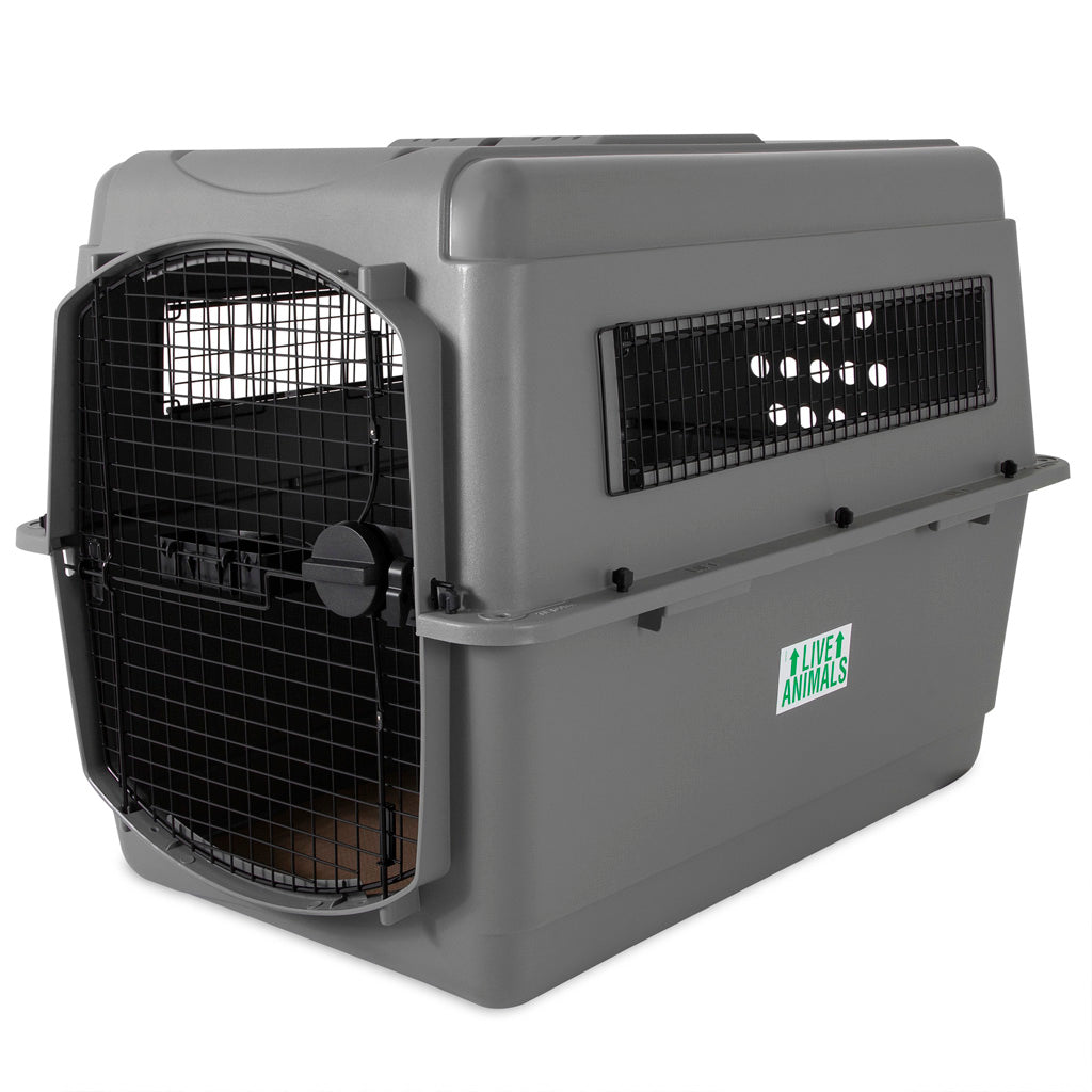 Petmate Sky Kennel XXL – Sicherer Und Bequemer Transport Für Haustiere