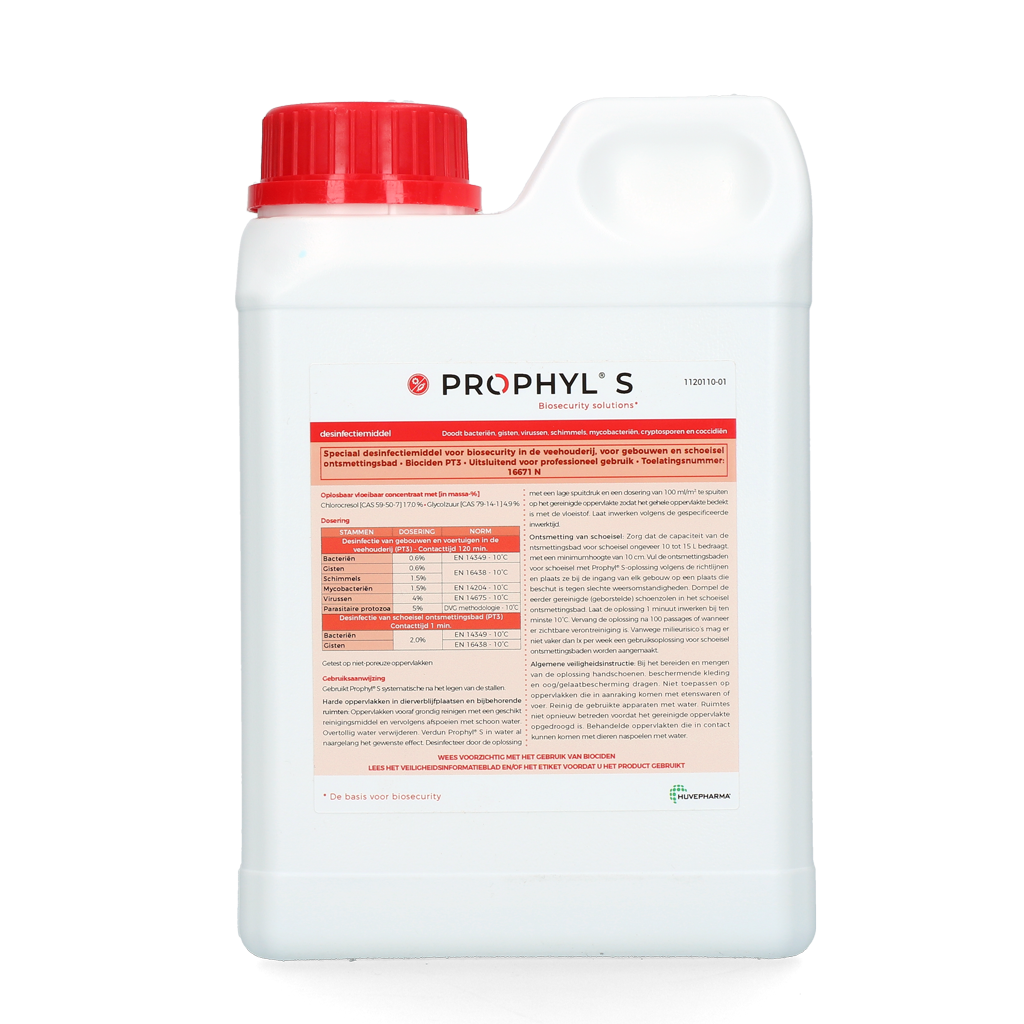 Prophyl S 1 L – Effektive Prophylaxe für Gesunde Zähne