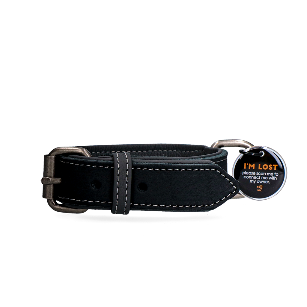 Spotted! Pro Lederhalsband Schwarz 3 x 55 cm – Hochwertiges Und Langlebiges Leder
