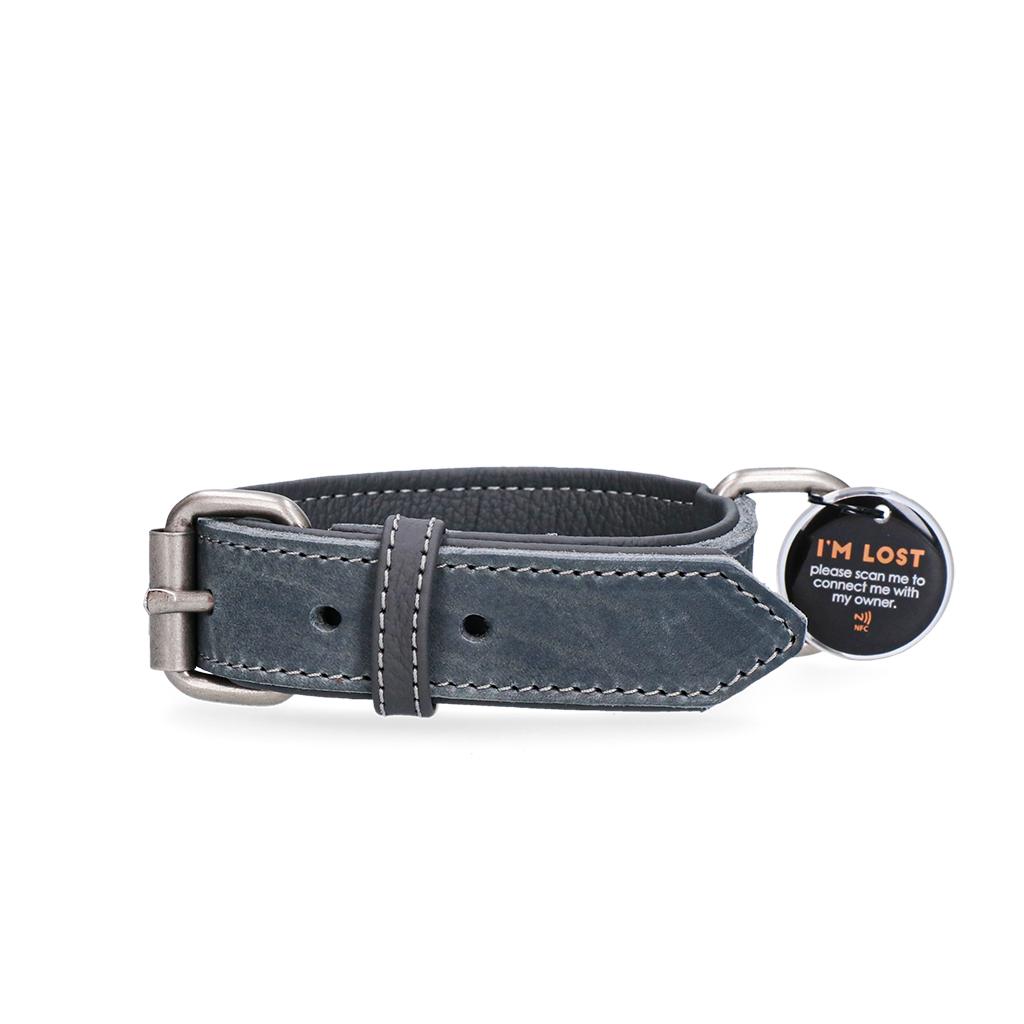 Spotted! Pro Lederhalsband Grau 3 x 60 cm – Hochwertiges Leder für Optimalen Tragekomfort