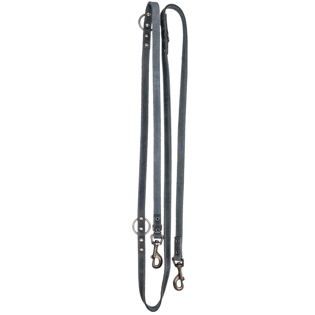 Spotted! Pro Leder Trainingsleine Grau 1,6 x 250 cm – Hochwertiges Weiches Leder für Optimales Training
