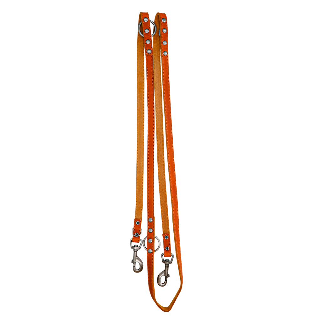 Spotted! Pro Leder Trainingsleine Cognac 1,6 x 250 cm – Hochwertiges Weiches Leder für Optimales Training