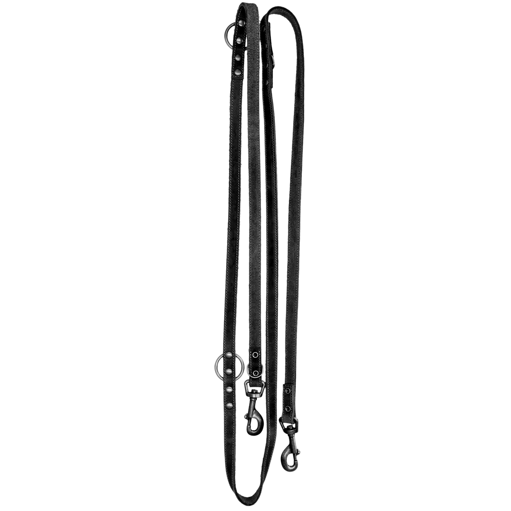 Spotted! Pro Leder Trainingsleine Schwarz 2 x 250 cm – Hochwertiges Weiches Leder