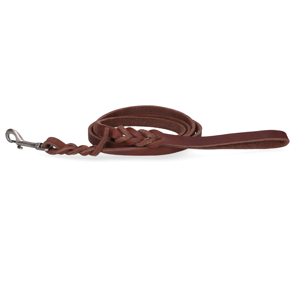 Spotted! Pro Leder Führleine Braun 1,8 x 180 cm – Hochwertige Handgefertigte Showleine