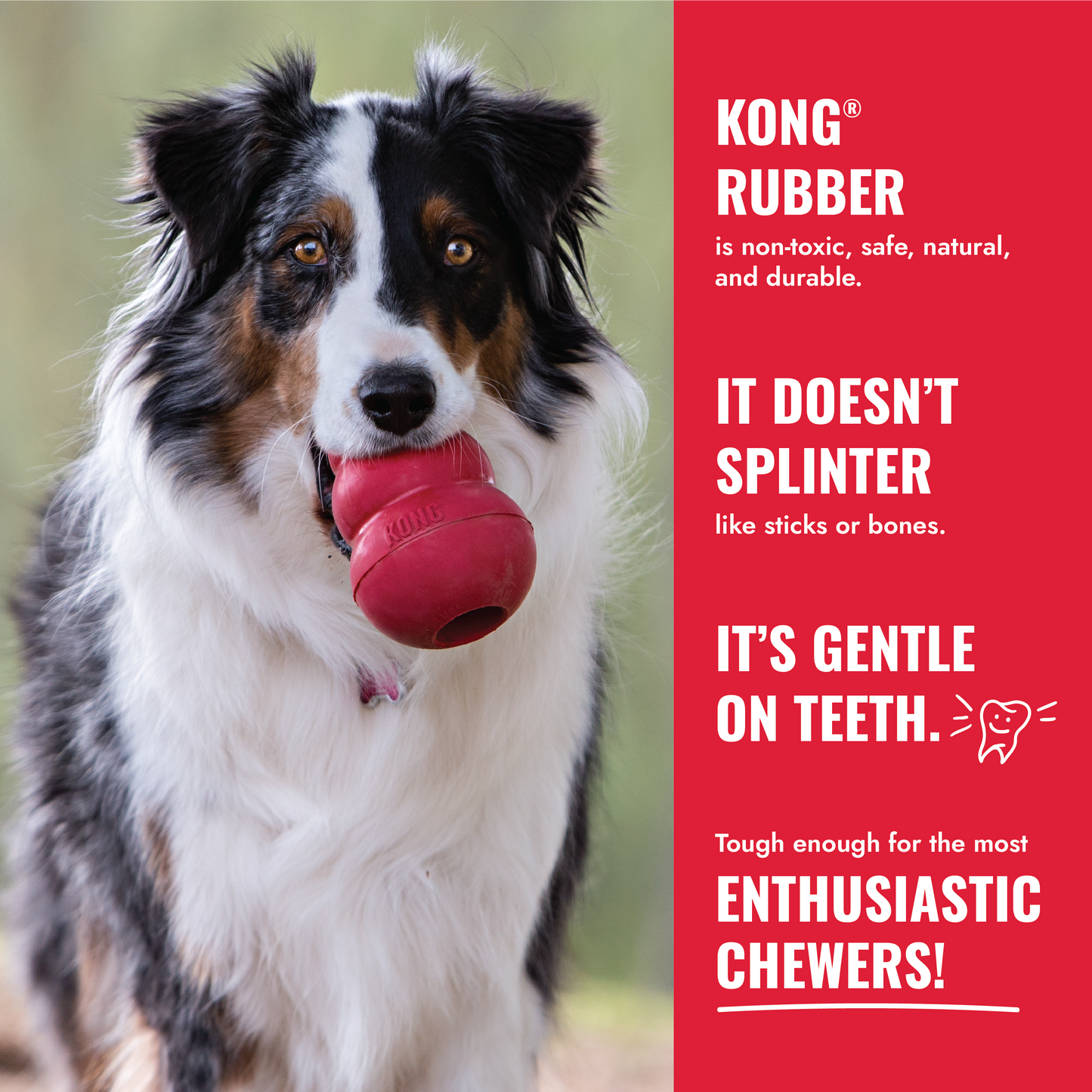KONG Classic XS