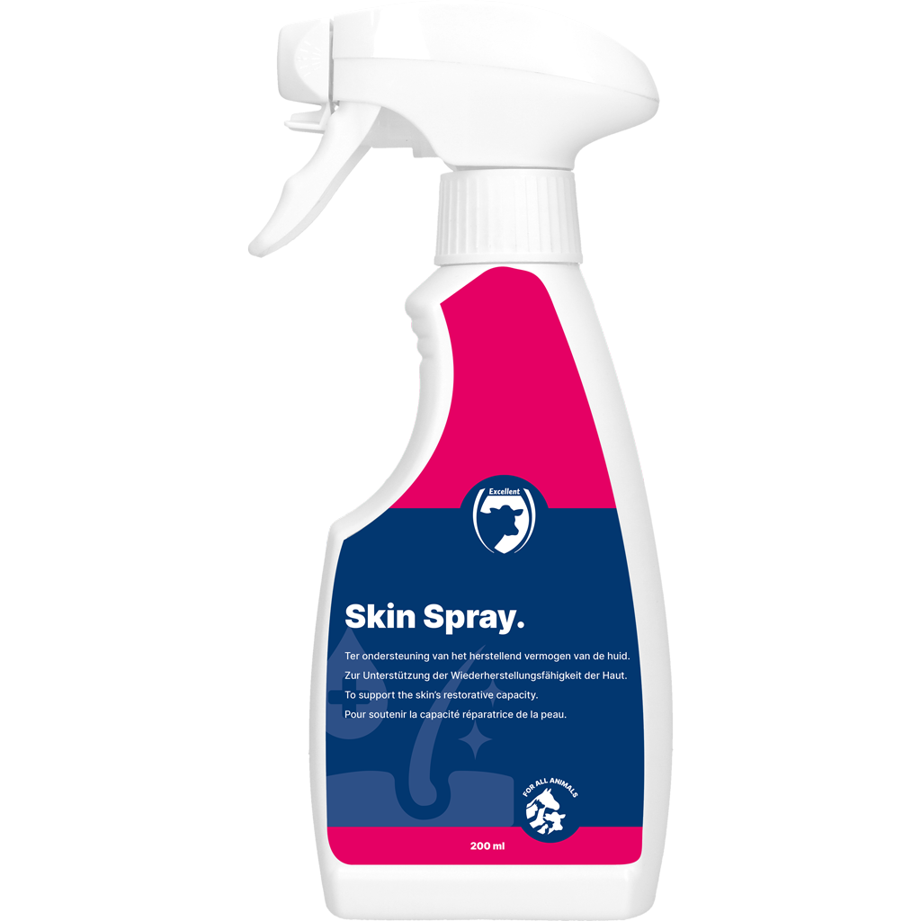Excellent Skin Spray Blank 200 ml – Unterstützt Die Hautregeneration