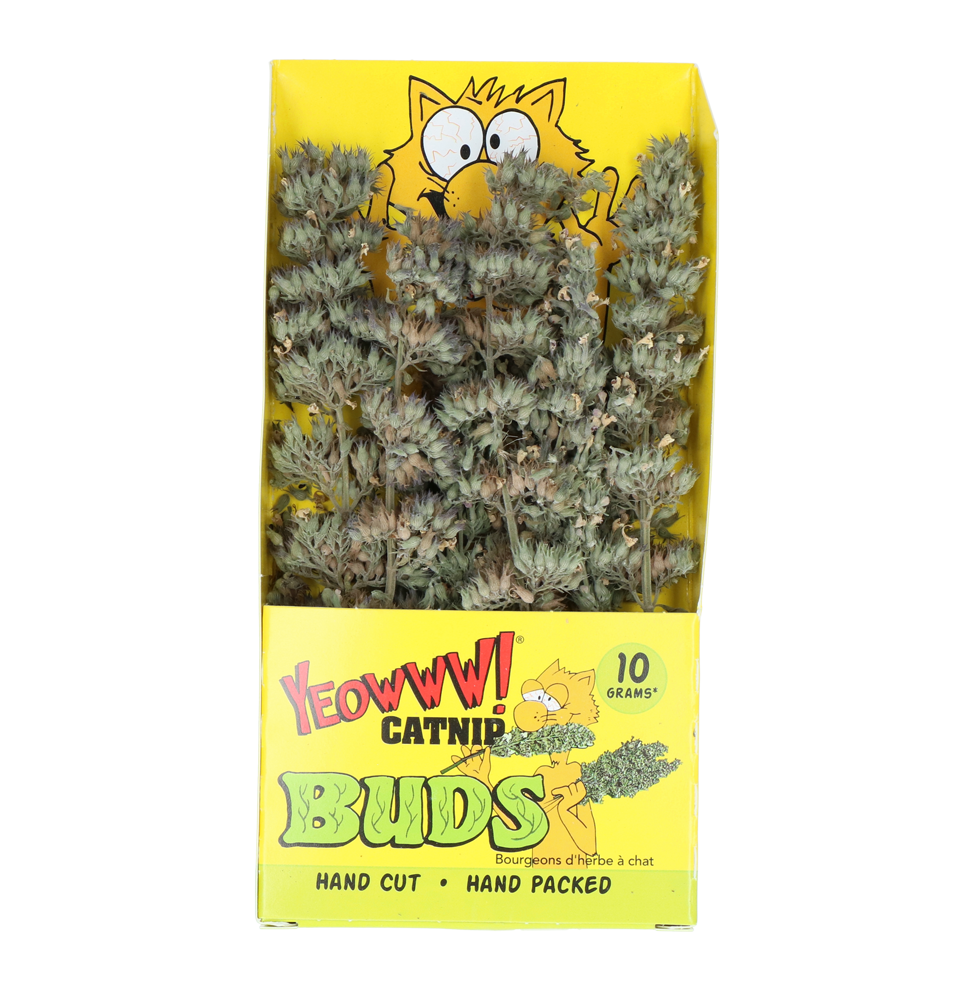 Yeowww! Katzenminze Buds – Biologisch Angebaut für Unwiderstehlichen Spaß